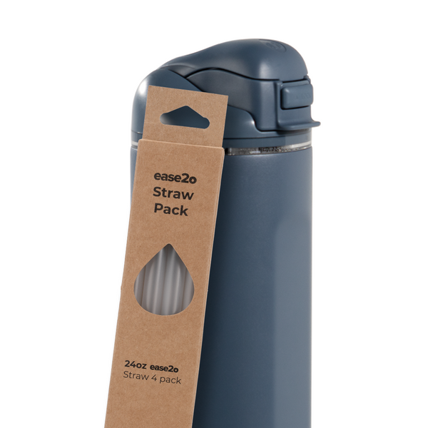 Ease2o Straws 4 Pack 24oz T1